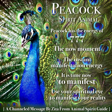 Peacock Spirit Animal | Peacock spirit animal, Spirit animal, Spirit ...