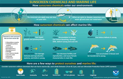 Coral Bleaching Effects