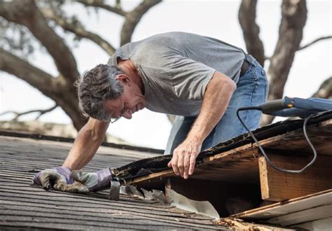 Learn how the Pro’s do Shed Roof Repairs - Zacs Garden