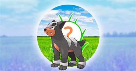 Shiny Houndour Spotlight Hour Is Tonight In Pokémon GO