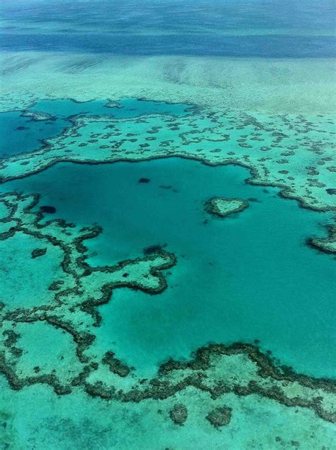 Aerial view of Heart Reef in Australia. A moment I'll never forget ...