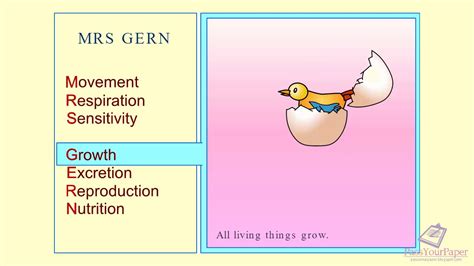 7 life Processes Biology MRS GERN - YouTube