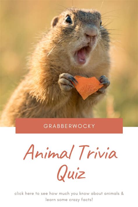 Can You Answer This Round of Animal Trivia Questions Correctly? Trivia ...