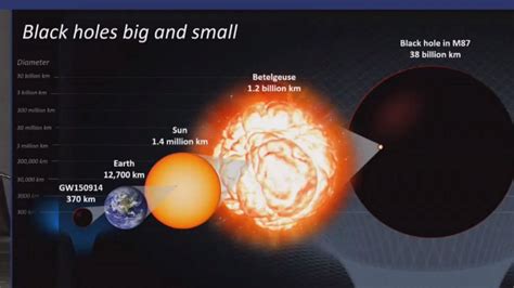 Black Hole Types