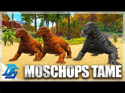 Moschops! (new harvesting machine that learns) -how not to be a noob ...