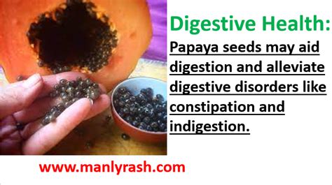 Discover the Healing Properties of Papaya Seeds for Optimal Health - We ...