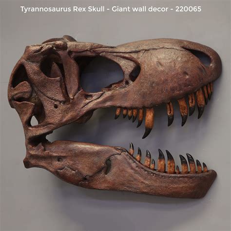 Tyrannosaurus Rex Skull - Giant Wall Decor - Sculpture & Statue