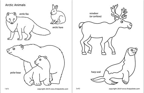 Printable Coloring Pages Arctic Animals