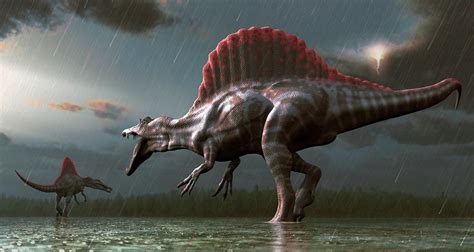 Artwork Of A Spinosaurus Dinosaur by Mark Garlick