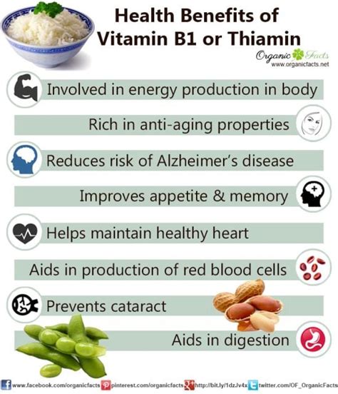 11 Impressive Benefits of Vitamin B1 or Thiamine | Organic Facts