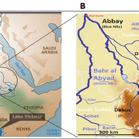 The Nile River (a) and the major tributaries of the Blue Nile (b ...