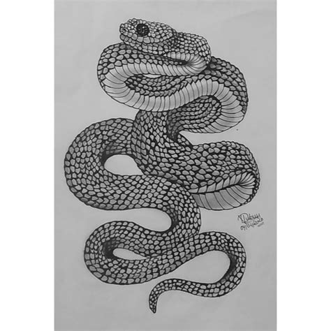 Snake - Drawing Skill