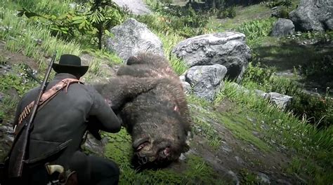 What to do with legendary bear pelt in Red Dead Redemption 2 | Shacknews