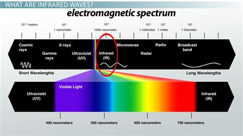 Infrared Waves: Definition, Uses & Examples - Video & Lesson Transcript ...