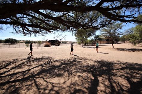 Camping in the Kgalagadi Transfrontier Park, South Africa