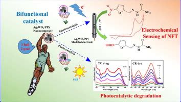 Ultrasonic assisted fabrication of silver tungstate encrusted ...