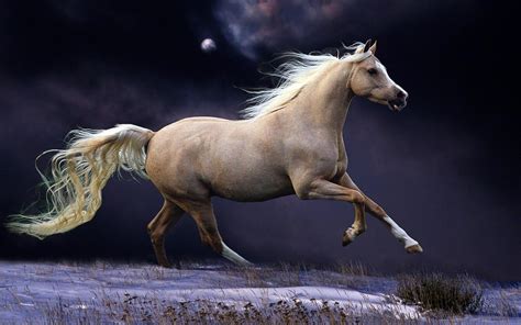 39++ Running horse of image ideas | horsebarnideas