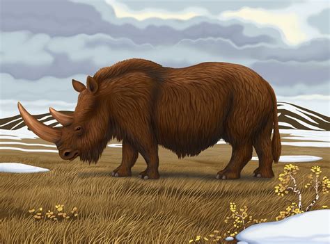 Woolly Rhinoceros (Coelodonta antiquitatis) by Ozja | Prehistoric world ...