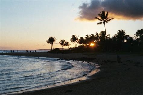 Poipu Beach Park - 2021 All You Need to Know Before You Go (with Photos ...