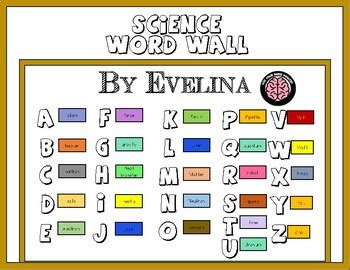 Science Word Wall Bulletin Board Set by Evelina's | TPT