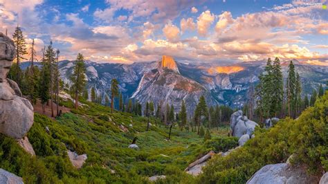 State of California, The United States, Yosemite National Park, trees ...