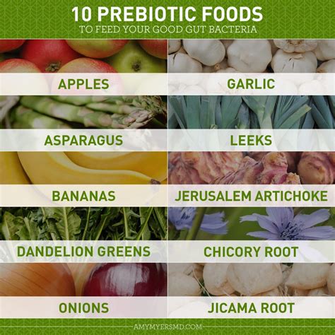 10 Prebiotic Foods For A Healthy Gut | Amy Myers MD