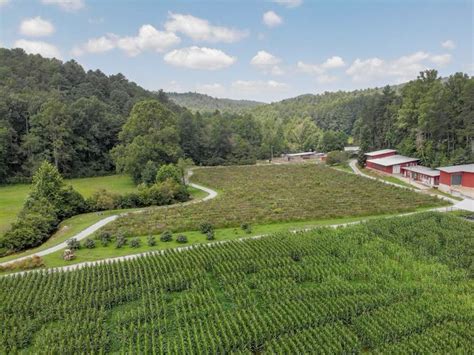 Hillside Orchard Farms | Explore Georgia