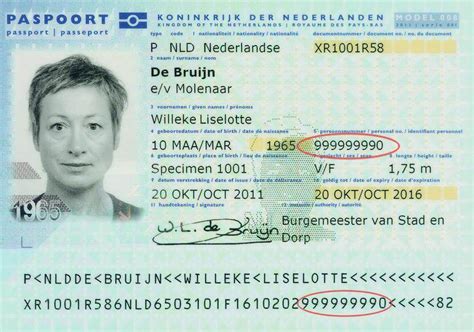 Where can I find my citizen service number on my Dutch passport ...