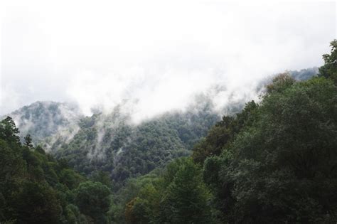 Premium Photo | Mountain landscape with fog in the morning