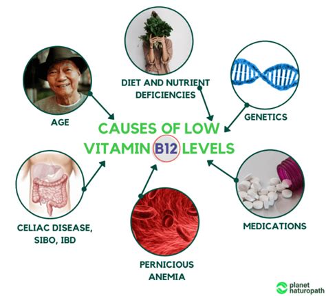 Vitamin B12 Guide: How To Treat Vitamin B12 Deficiency - Planet Naturopath