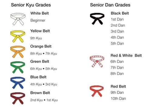 Judo vs. BJJ: What Is The Difference? - Sweet Science of Fighting