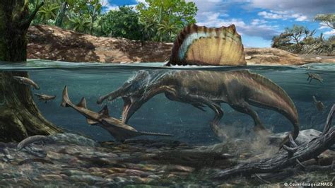 Discovered: Rare Spinosaurus fossils – DW – 06/10/2022