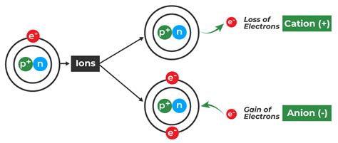 Cations vs Anions - Difference Between Cations and Anions with Examples