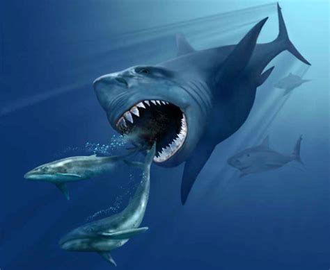 Megalodon Grew to Larger Sizes in Cooler Waters: Study | Sci.News