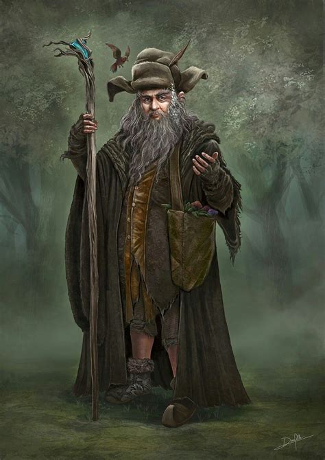 Radagast the Brown Art Portrait | Middle earth art, Radagast the brown ...