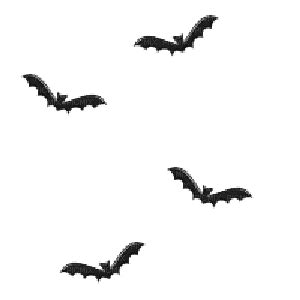 bats gif, bats , gif , black , bat , background , halloween ...