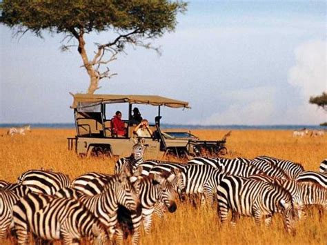 Luxury holidays in Kenya. Tours & holidays in 2019 & 2020