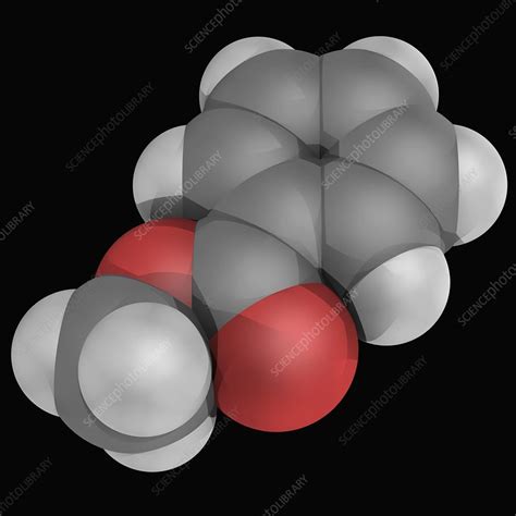 Methyl benzoate molecule - Stock Image - F004/8589 - Science Photo Library