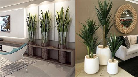 2024 Ideas for Decorating with Modern Indoor Plants - Home Decor