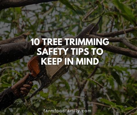 10 Tree Trimming Safety Tips To Keep In Mind - FarmFoodFamily