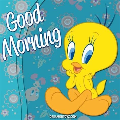 Tweety Bird Good Morning | Cute good morning quotes, Good morning ...