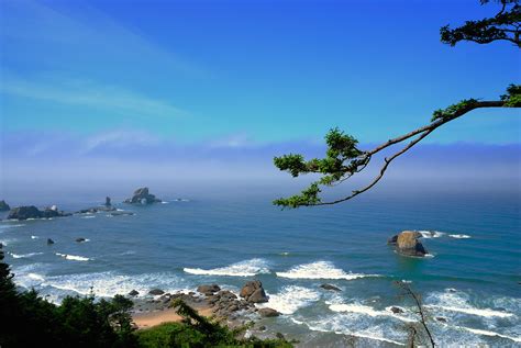 Images Of Ecola State Park