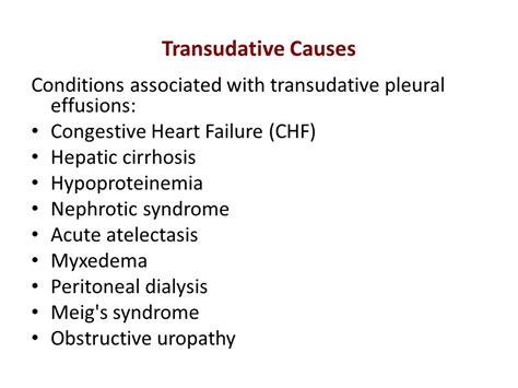 Causes Of Exudative Pleural Effusion