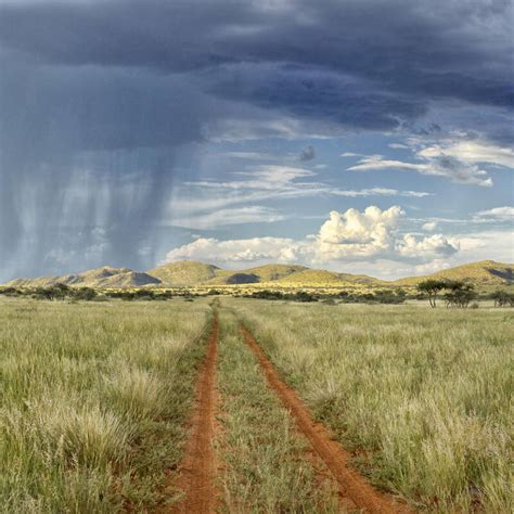 Kgalagadi Transfrontier Park - safari camps and places to stay