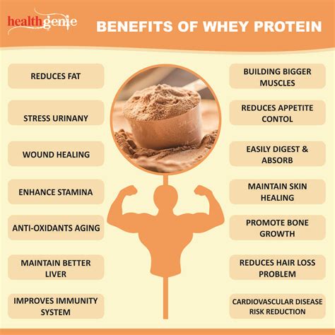 Benefits Of Whey Protein Powder