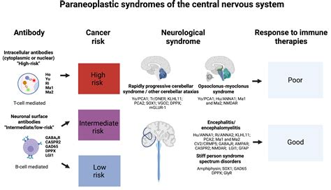 Pediatric Neurology Review