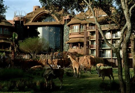 Disney's Animal Kingdom Lodge: Precios, promociones y comentarios ...