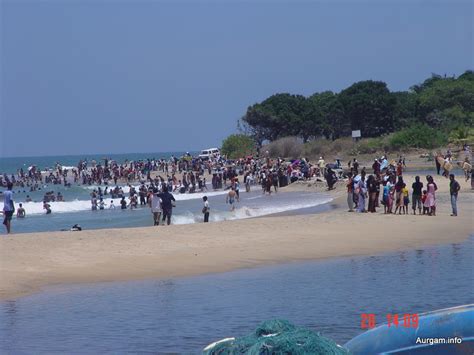 Arugam Bay Beach Litter signs! « Arugam Bay Information