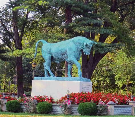 Bull bronze statue - bronze statue|garden art sculpture