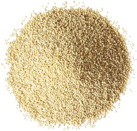 Amaranth, Organic - Barb's Kitchen